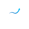 Capital Minds Logo